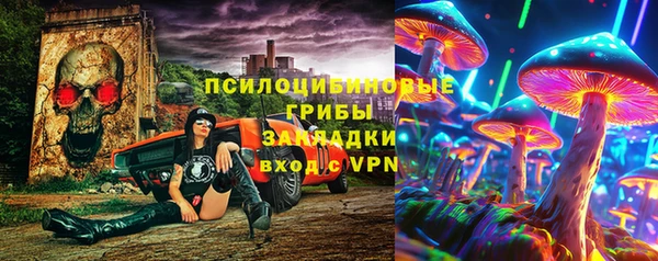 герыч Алексин