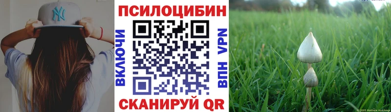 Галлюциногенные грибы GOLDEN TEACHER  MEGA рабочий сайт  Шебекино 